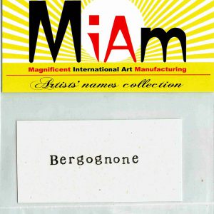 Bergognone